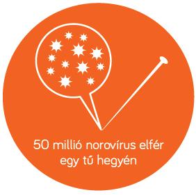 Norovírus az egészségügyi létesítményekben A norovírus levegőben történő terjedése most már meggyőzően megállapítást nyert.