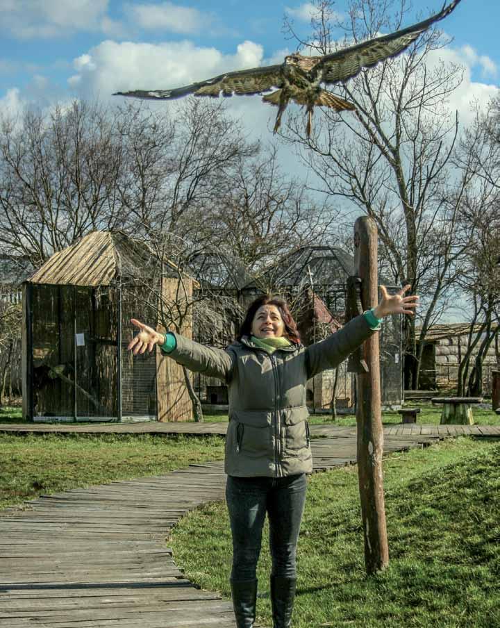 PUSZTADOKTOR MAGAZIN XII. évfolyam 4.
