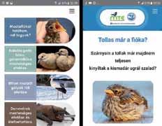 Madármentő mobillal Madármentő app Az év elejétől mobilos segítség, madármentő applikáció is rendelkezésére áll azoknak, akik madarat akarnak menteni.