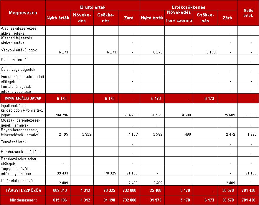 Appeninn Nyrt. 2016. 12. 31. Éves jelentés kiegészítő melléklet 6. oldal 1.2 Tárgyi eszközök A Társaság az ingatlanokra 21.108 ezer forint értékhelyesbítést tart nyilván.