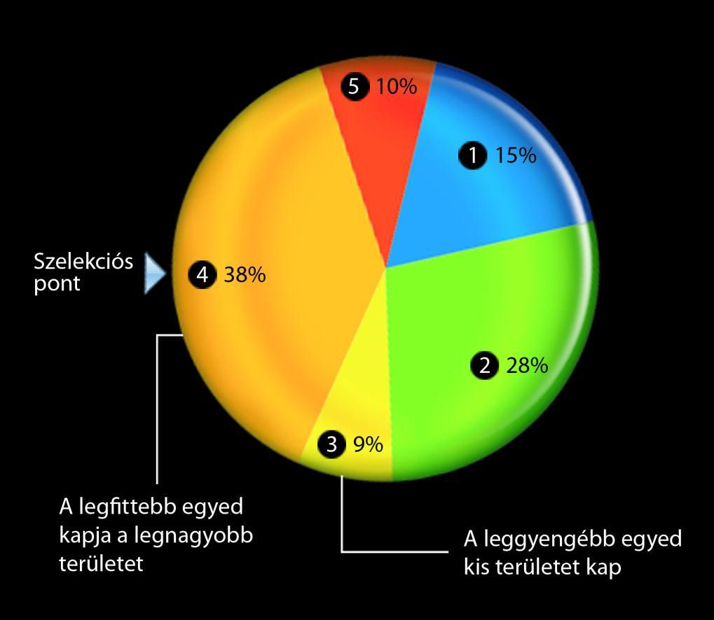 SZELEKCIÓ