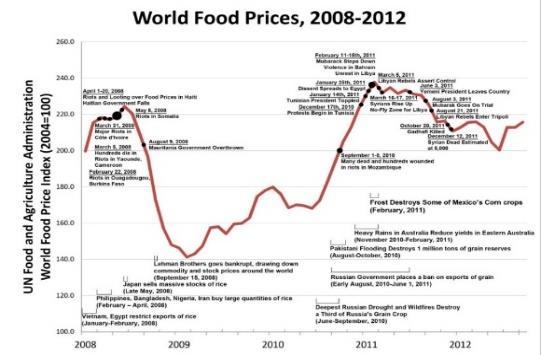 földhasznosítás; élelmiszer-kereskedelem eltérő élelmezésbiztonság (hunger, food security) * globális