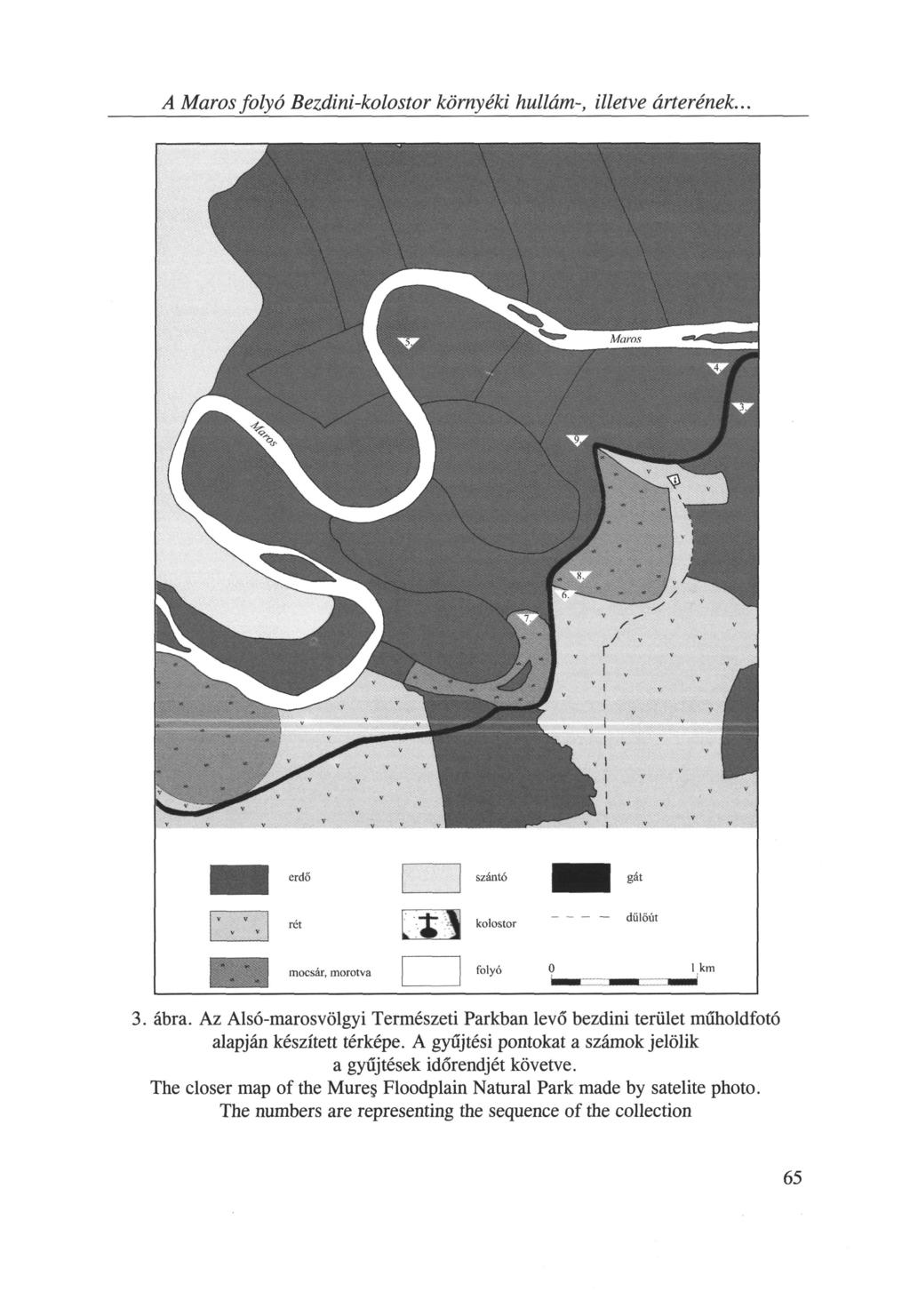 A Maros folyó Bezdini-kolostor környéki hullám-, illetve árterének... 3. ábra. Az Alsó-maros völgyi Természeti Parkban levő bezdini terület műholdfotó alapján készített térképe.