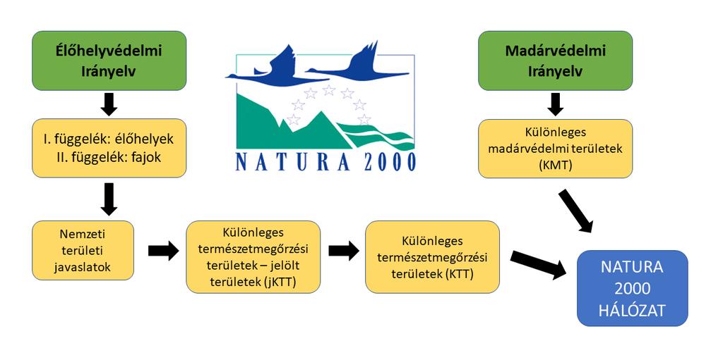 2.3. A kijelölés általános folyamata Természetmegőrzési