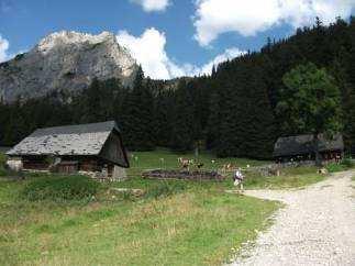 Herrgott (775 m) [2,5 km] Leopoldstein-tó,