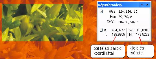 Kiválasztás készítése 13 Szabályos kiválasztás A szabályos mértani alakzatokat alkalmazó kijelölő eszközök az eszköztár tetején az alapértelmezett Téglalap maszk eszköz alatt találhatók.