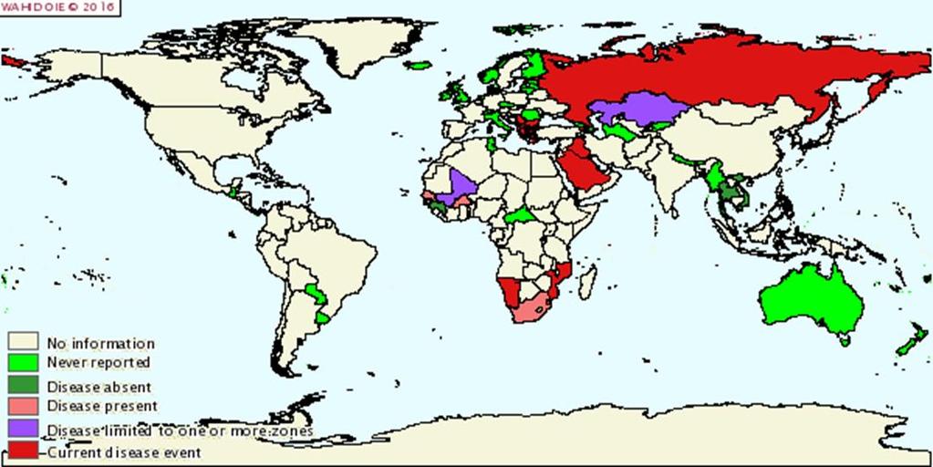 Előfordulás (2015 OIE WAHIS) Afrika: Angola, Benin, Burkina Faso, Burundi, Cameroon, Comoros, Congo (Rep. Dem.