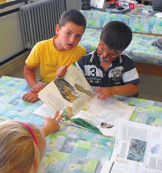 Petrekovou reprezentovalo Slovenskú republiku v medzinárodnom projekte Remember Europe. Projekt je určený pre stredoškolákov z krajín Vyšehradskej štvorky.