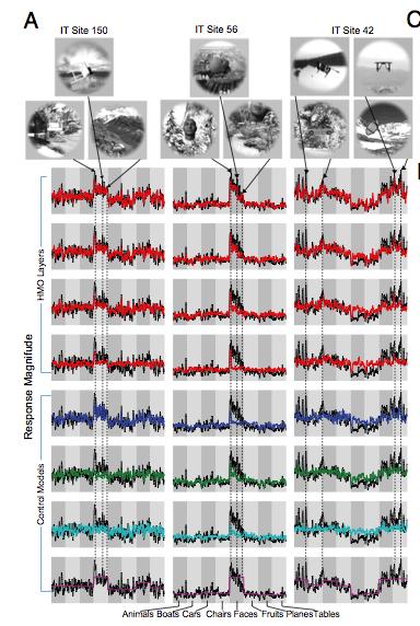 Neurális aktivitás predikciója konvolúciós hálókkal Yamins et al, 2014 Az agy objektumfelismerésben résztvevő neuronjainak átlagos aktivitását prediktáljuk a mesterséges háló mélyebb