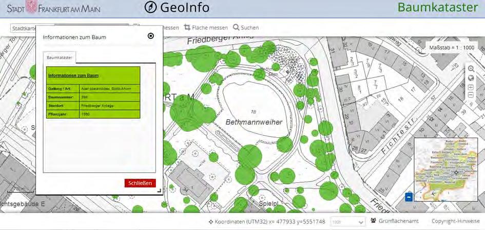 Frankfurt Közterületeken 200 ezer fa és 40 park található, a várost körülveszi egy zöld öv, Új