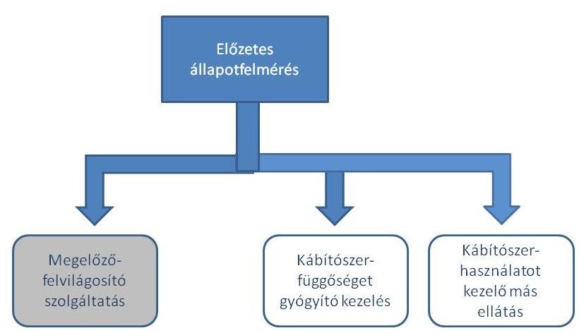 Az elterelés kezelési adatokban történő megjelenéséhez fontos megjegyezni, hogy az adatgyűjtében rögzített elsődleges szer nem feltétlenül egyezik a büntetőeljárás során az elkövetés tárgyaként