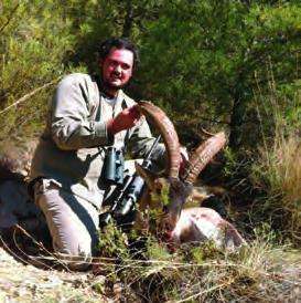 rondai is. A spanyol kormány sokat tesz az ibex fenntartható vadászatáért.