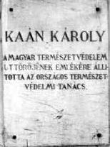 A természetvédelem arcképcsarnoka Kaán Károly (Nagykanizsa, 1867 Budapest, 1940) Miután Selmecbányán erdőmérnöki oklevelet szerzett 1892-ben állt munkába, így közel fél évszázadon át szolgálta