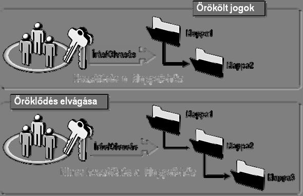 Az ügyfelek biztonsága A fájlrendszer-jogosultságok A Windows operációs rendszerek tipikus fájlrendszere, az NTFS esetén a jogosultságokat több különböző szempont szerint csoportosíthatjuk, ezek
