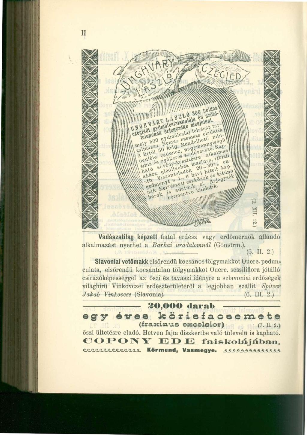 Vadászatilag képzett fiatal erdész vagy erdőmérnök állandó alkalmazást nyerhet a Barkai uradalomnál (Gömörm.)., (5. II. 2.) Slavoniai vetőmakk elsőrendű kocsános tölgymakkot Ouerc.