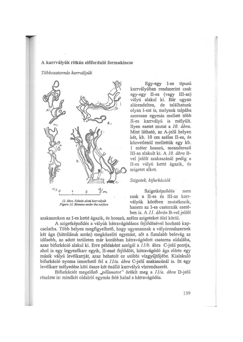 A karrvályúk ritkán el6'forduló formakincse Többcsatornás karrvályúk 12. ábra.