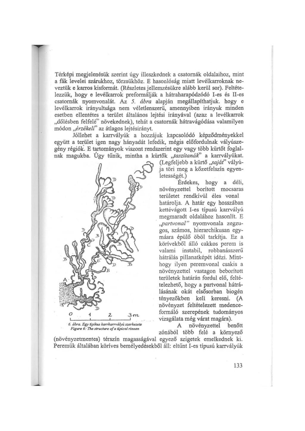 Térképi megjelenésük szerint úgy illeszkednek a csatornák oldalaihoz, mint a fák levelei szárukhoz, törzsükhöz. E hasonlóság miatt levélkarraknak neveztük e karros kisformát.