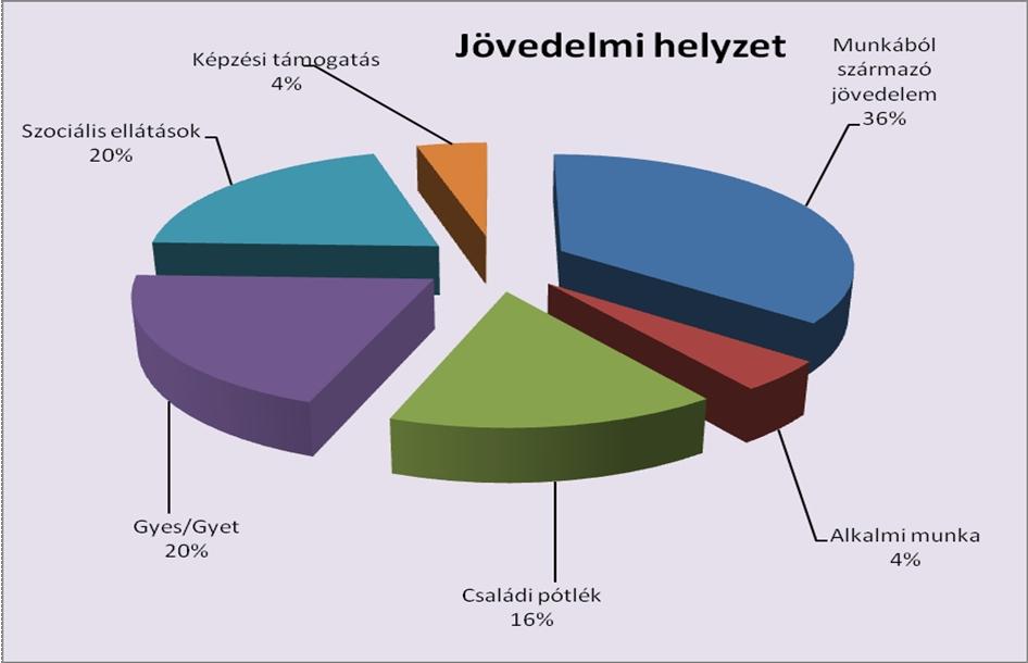 Az intézménybe kerülés okai: 33 %-ban a családok intézményi bekerülésének oka hátrányos jövedelmi viszonyok miatt a család létfenntartásának veszélye, illetve megoldatlan lakhatási probléma.