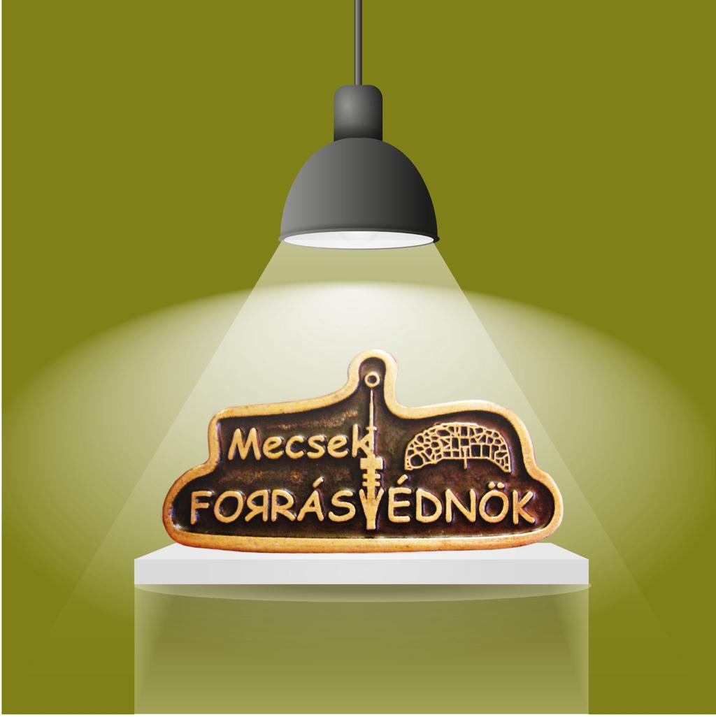 com/site/forrsvednok/home létrehoztk vlmint fcebook-oldlt: honlpot is: Mecseki