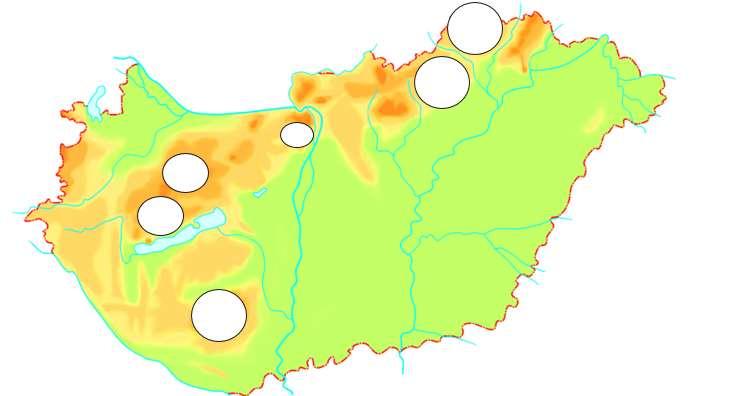 4. csoport: Toto-szelvény Mit ábrázolnak a képek! Karikázzátok be a helyes megoldás betűjelét! 1.