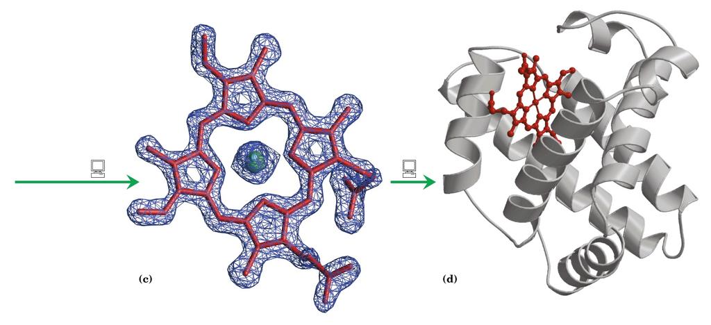 Röntgen krisztallográfiás szerkezetmegállapítás NMR szerkezetmegállapítás