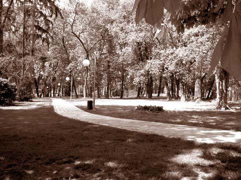 Park Založenie prírodno-krajinárskeho parku sa datujeme do 18. až 19. storočia, kedy sa zakladali viaceré parky v danom regióne pri vidieckych sídlach. Obr.