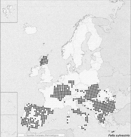 Populáció szintjén: elterjedési terület Elterjedési terület : ahol a fajnak életképes populációja él állatföldrajzi fogalom pl: a gímszarvas elterjedése a világon (fent) és a