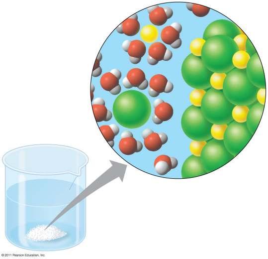 Jó oldószer A vízmolekulák az ionok körül rendezett szerkezetű hidrát réteget hoznak létre.