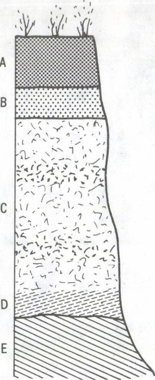 Ezzel szemben a januárban esett csapadékok az átlag kétszeresét tették ki (Saignelégier: 260 mm, Fahy: 115 mm, La Chaux-de-Fonds: 232 mm). A január 23-i és 24-i eső különösen bőséges volt: kb.