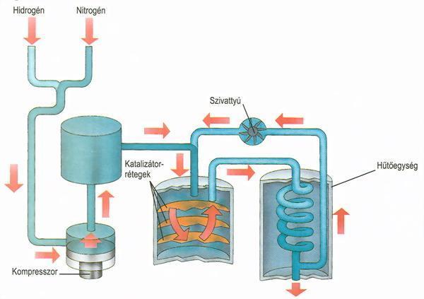 Haber-Bosch szintézis Forrás: internet 3 II Pest megyei