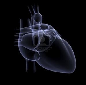 S1 Tompa: Ao stenosis