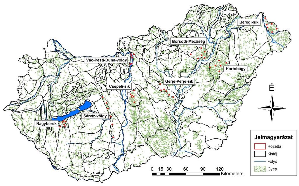 6. ábra A 48 rozetta és a 336 MÉTA hatszög