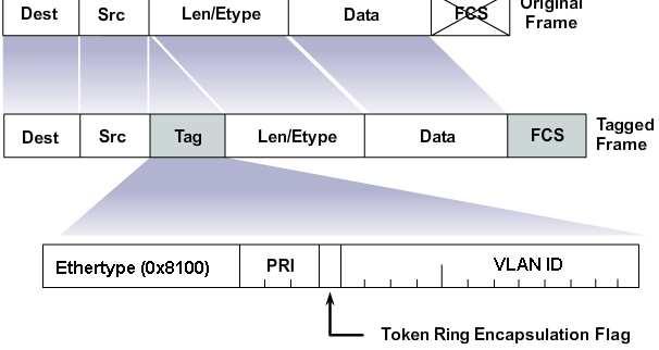 Virtuális LAN IEEE 802.1Q címkézés A trönk kapcsolaton egy VLAN-címkével ellátott keret halad keresztül.