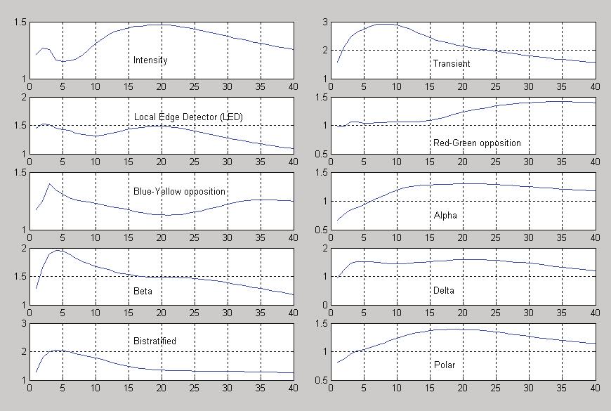 VIZUÁLIS FIGYELEM MODELLEZÉSE 16 3. ábra: Mind a tíz kis ábra egy-egy csatorna átlagos feltűnőségi ( saliency ) értéket mutatja a 40 db különböző receptív mező méret szerint meghatározva.