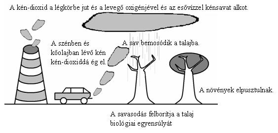 (K/4) Az alábbiakban két olyan személyiséget mutatunk be, akik aktív tevékenységet fejtenek ki a globális környezeti problémák enyhítése érdekében.
