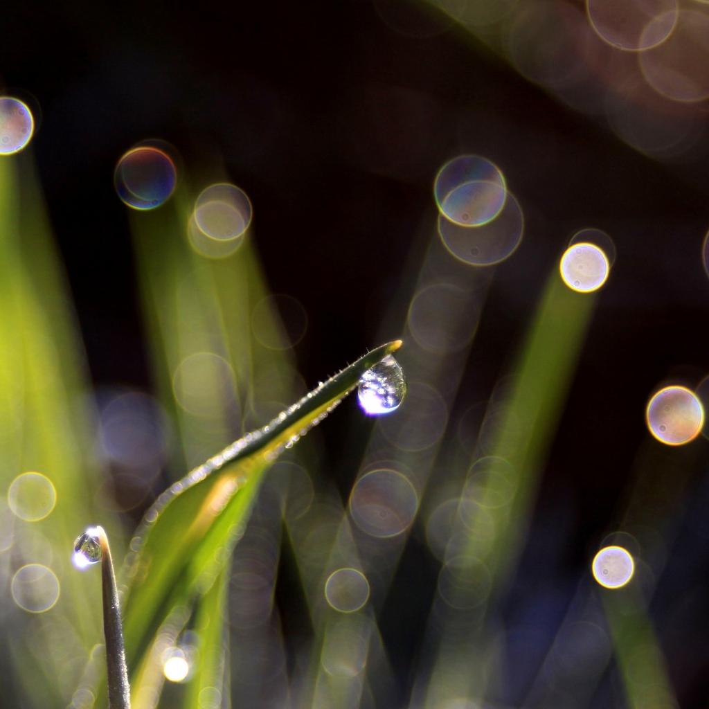 MaSzeSz Országos Konferencia Lajosmizse 2018 május 28 Sustainable Water Future