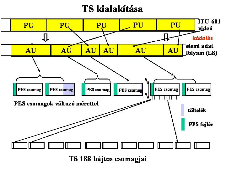 A TS egyes részeinek jelentése Csomag folytonossági számláló (4bit): minden azonos PID-ű TS csomagsorozat rendelkezik ezzel a 4 bites számlálóval, amely 0 és 15 között inkrementálódóan számol úgy,