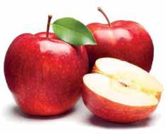 18 Faddi Hírek ZÖLDROVAT Közkívánatra újra az alma és sárgabarackfajtákról. Sokan érdeklődtek alma és sárgabarack fajták iránt.