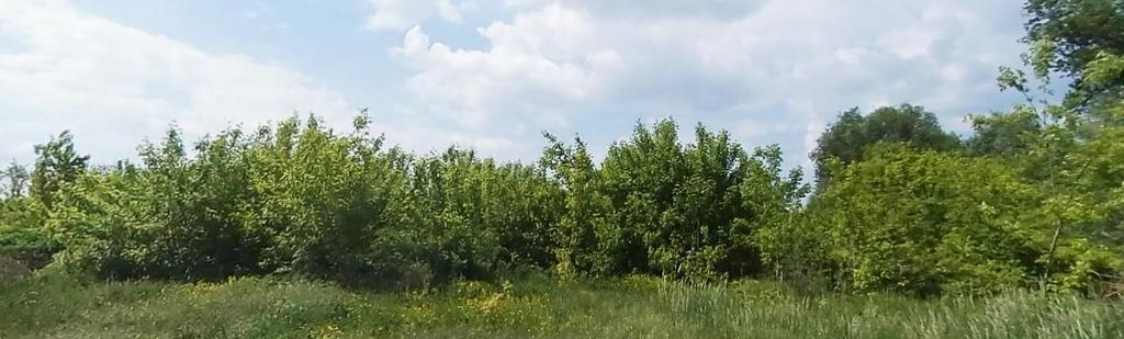Országos ökológiai hálózat Tápió patak és környezete Mendén a rétekkel, legelőkkel kísért Alsó-Tápió patak mente a település teljes közigazgatási