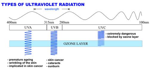UV-expozíció esetleges egészségkárosító hatásai: - fotokeratoconjunctivitis - szürke hályog - egyéb