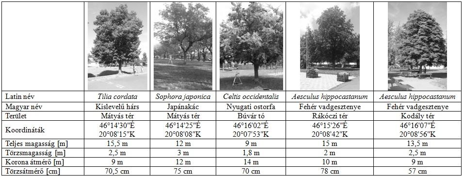 Népszerű városi fafajok árnyékolóképességének vizsgálata Szegeden 23 Vizsgált fajok, helyszínek és módszerek A transzmisszivitás értékek kiszámításához szükséges méréssorozatot 2014 nyarán indítottuk