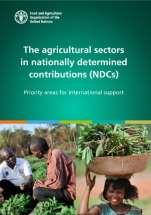 Tervezett országok számára végzett feladatok Az NDC elkészítése és frissítése A mezőgazdaságra vonatkozó kötelezettségvállalások elemzése és a végrehajtás