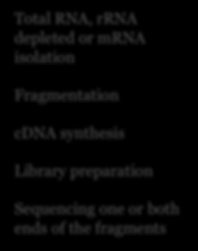 preparation Sequencing one or both ends of the fragments