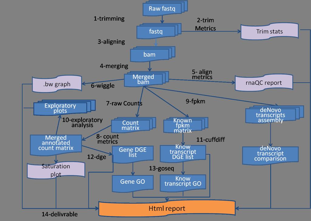 RNA-Seq: