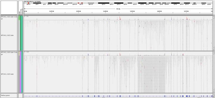 IGV: Differential