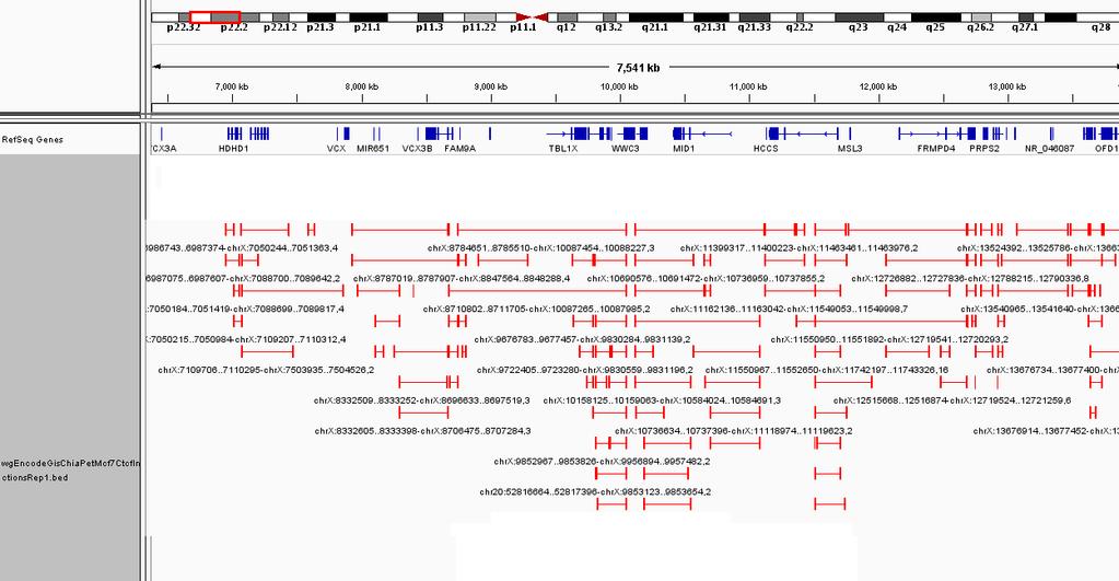 Analysis pipeline Download data (SRA/ ENCODE) Filter data (300kbp < interactions) Assign CTCF motifs to interactions CTCF peak CT CF INTERACTION 1 INTERACTION 2
