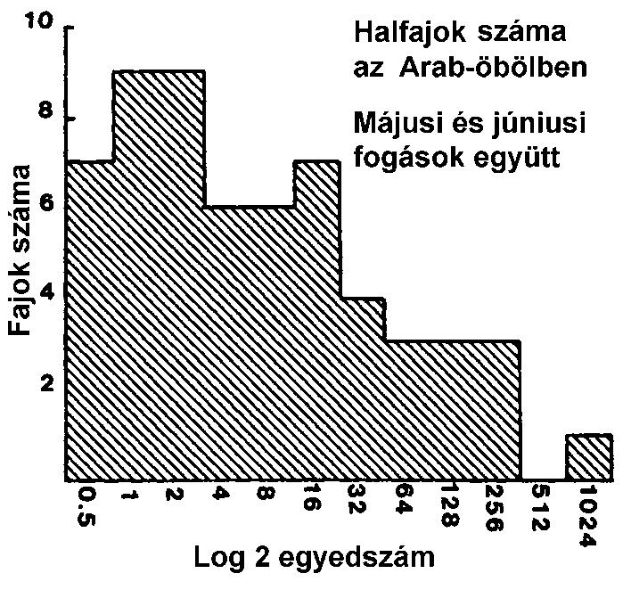 Eloszláson