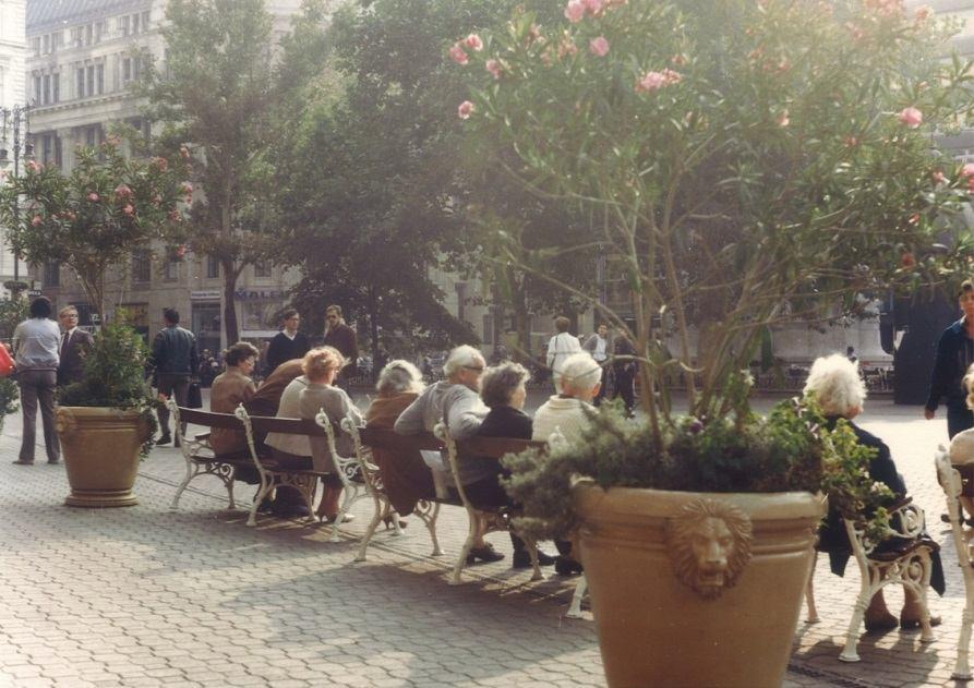 Komplett tér felújítás: - Zöldterület minőségi kialakítása - Szobrok