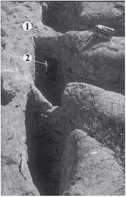 a vályú, amely belenyílott az átmenő karrbarlangba, 2. az átmenő karrbarlang, amely mennyezetét vesztette, 3. karros sziklahíd Picture 21. Opened-up karren trough (Totes Gebirge) 1.