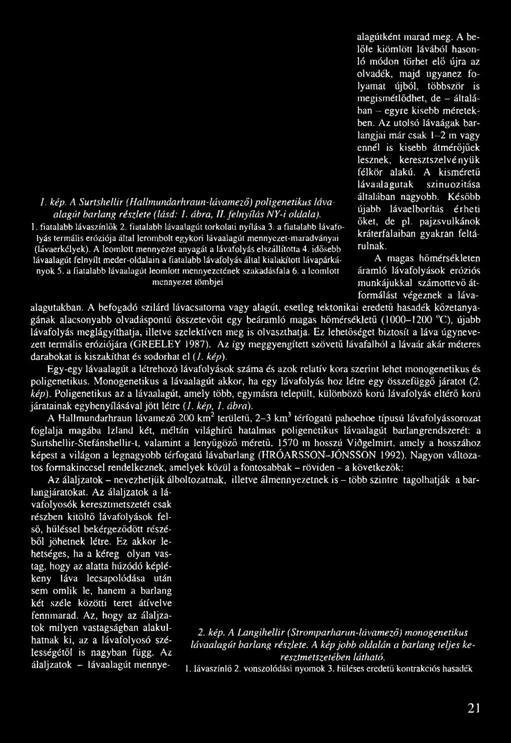 A leomlott mennyezet anyagát a lávafolyás elszállította 4. idősebb lávaalagút felnyílt meder-oldalain a fiatalabb lávafolyás által kialakított lávapárkányok 5.